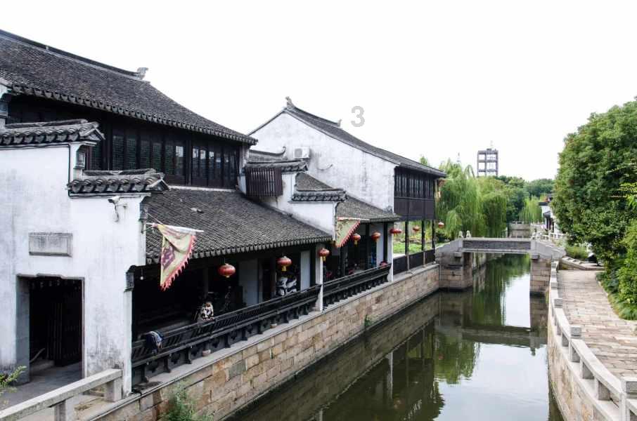 动物帮帮忙保卫家园